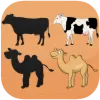 Animals Puzzles for Kids - free online puzzle game