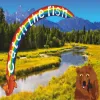 Catch the fish - free online io game