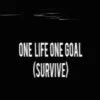 One Life One Goal - free online shooting game