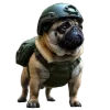 Pug War Shooter - free online shooting game